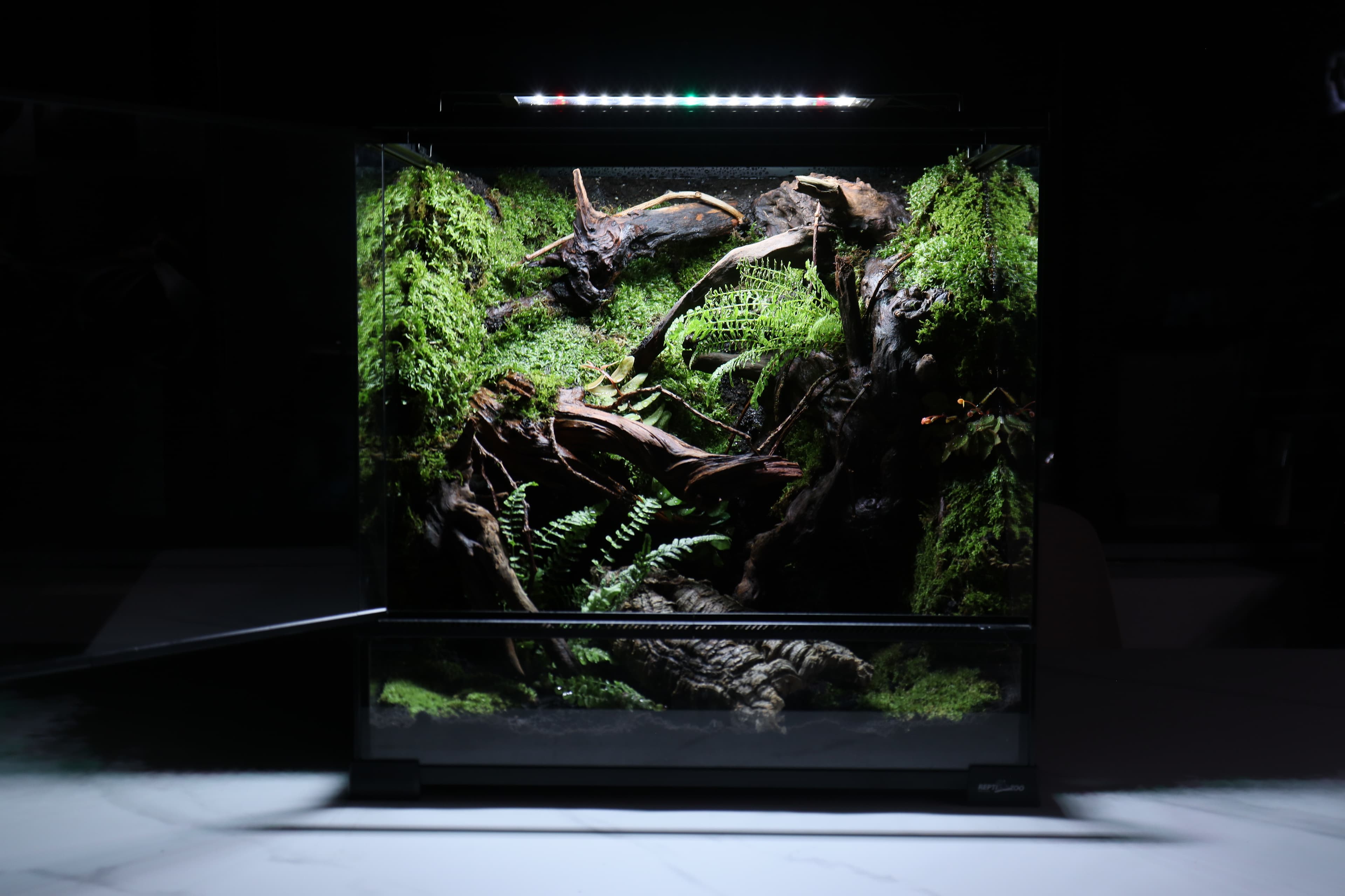 센티리움 지네 비바리움 45×45×45